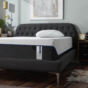 Tempur Pedic Mattress
